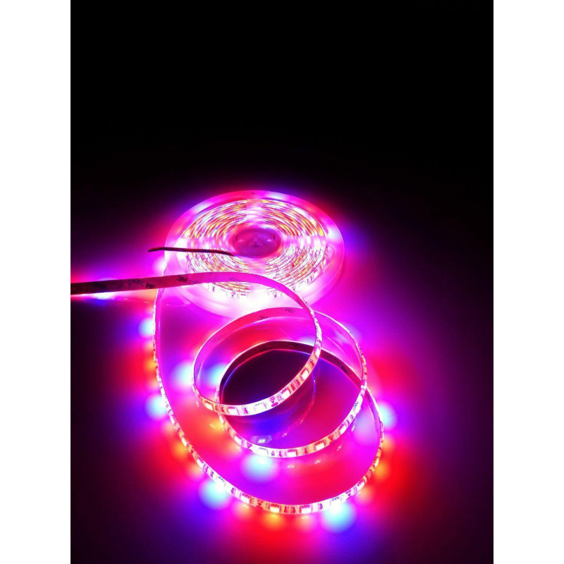 Світлодіодна фітострічка LEMANSO LM871 IP20 1 м 60SMD 5050 12 V 12 W/м 18 LED 4*черв. 1*синій 1м