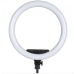 Кільцева LED-лампа AL-360 (1 кріп.тел) (пульт) 220 V (36 см) без штатива